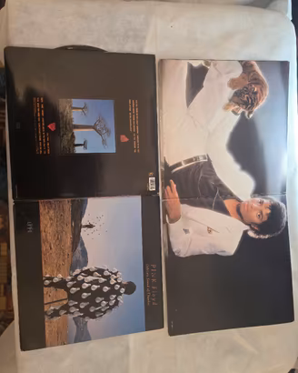 vinile Michel Jackson  è in Pink floid 