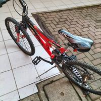 bicicletta 