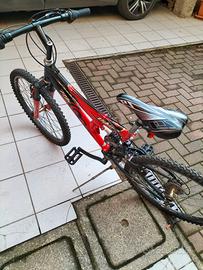 bicicletta 