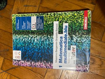 Matematica multimediale.blu