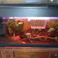Acquario 80