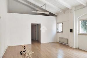 NEGOZIO A SAVIGNANO SUL RUBICONE