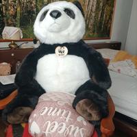 orso gigante 