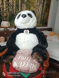 orso gigante 