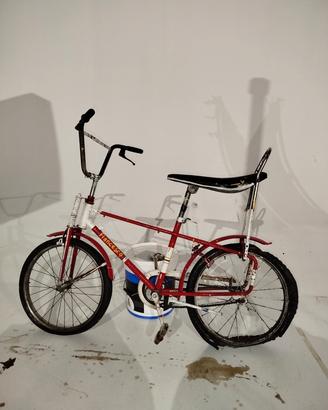 Bicicletta Cross Salta Fossi