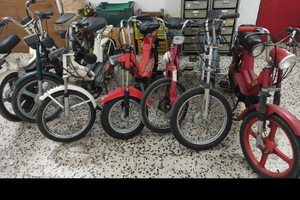 Bravo piaggio si ciao grillo