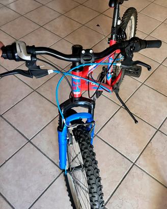 Mtb Esperia per bambini 8-11 anni