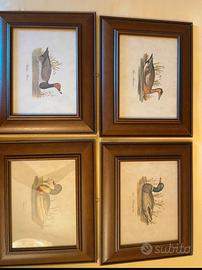 Lotto di 4 quadri