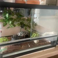 Terrario per rettili con tappetino e accessori