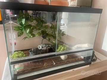 Terrario per rettili con tappetino e accessori