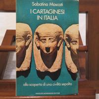 I cartaginesi in italia