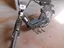 Immagine 4