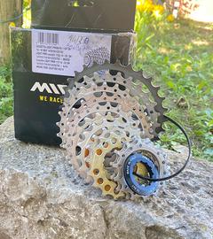 Pacco pignoni 11v Miche Primato Light 14/30