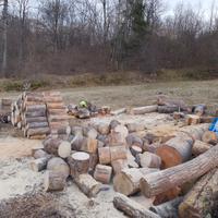 legna da ardere in ciocchi 