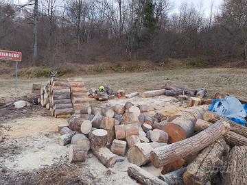 legna da ardere in ciocchi 