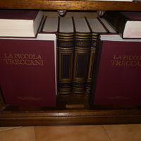 Piccola Treccani