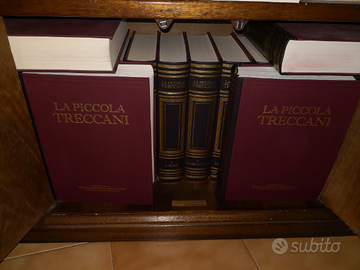 Piccola Treccani
