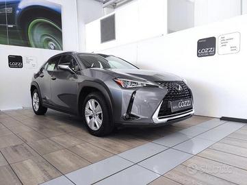 LEXUS UX - UX Hybrid Business