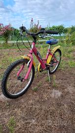 bicicletta 