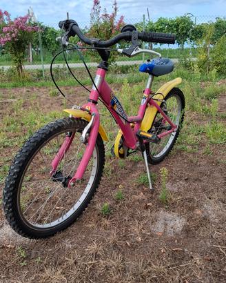 bicicletta 