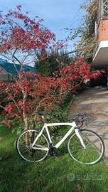 Pinarello misura 54 (M)
