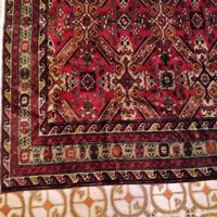 Tappeto pregiato con certificato di autenticità