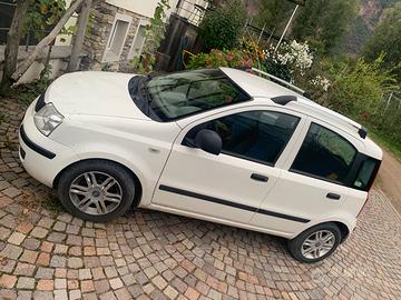 Panda 1100 2011