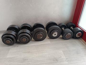 coppie di manubri professionali 