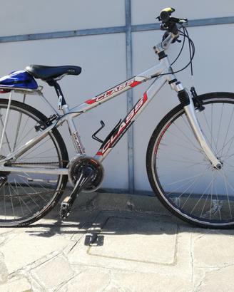 bicicletta ciclo turismo 