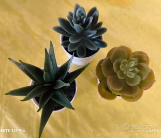 PIANTE GRASSE ARTIFICIALI DECORATIVE