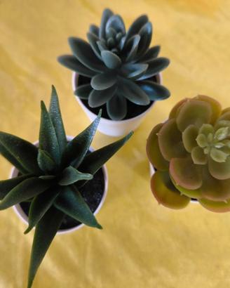 PIANTE GRASSE ARTIFICIALI DECORATIVE