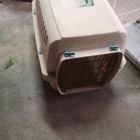 trasportino per gatto