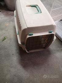 trasportino per gatto