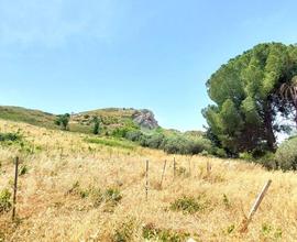 TER. AGRICOLO A CASTELVETRANO