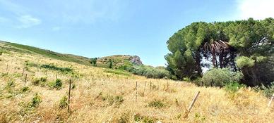 TER. AGRICOLO A CASTELVETRANO
