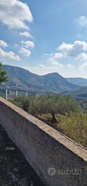 Terreno panoramico