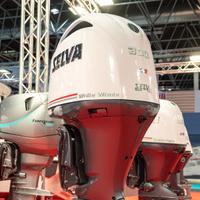 PROMO NUOVO Selva White Whale 300 XSR TASSO 0