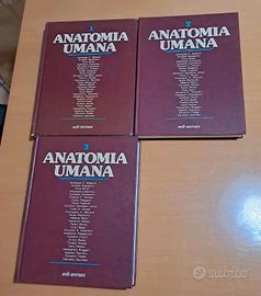 Anastasi - Trattato di Anatomia Umana