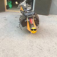 Splendida Honda Shadow 750 modello RC50