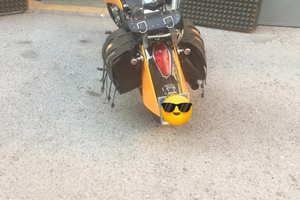 Splendida Honda Shadow 750 modello RC50