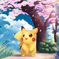 Pokémon GCC: 800 carte e 6 carte rare V