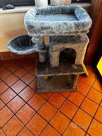 Alzata tira graffi gatto