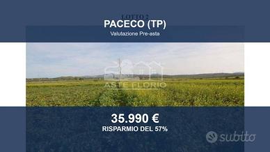 Immobile in asta di 33570 m² a Paceco
