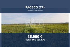 Immobile in asta di 33570 m² a Paceco