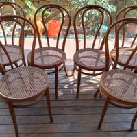 6 sedie modello Thonet primi '900