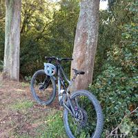 specialized status 2024
