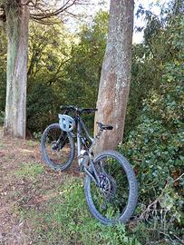 specialized status 2024