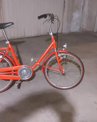 bicicletta pieghevole con ruote da 24.