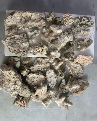 Rocce per acquario marino reef