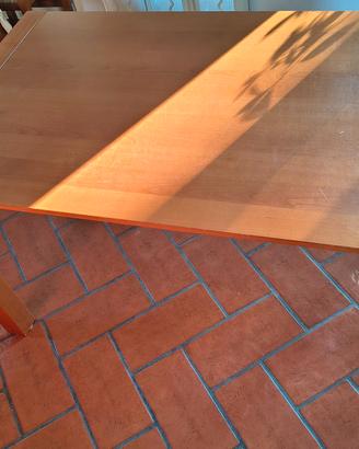 Tavolo da pranzo allungabile 140x85 a 240x85
